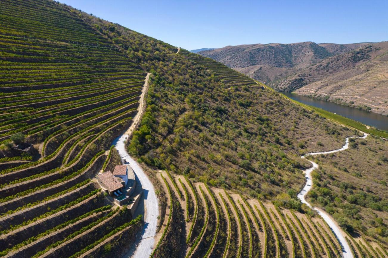 Casa Do Rio - Douro Wine Hotel By Vallado Vila Nova de Fozcoa Bagian luar foto